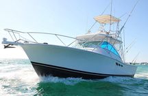 Explore 4H of Private Deep Sea Fishing in Punta Cana