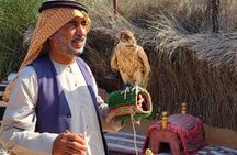 Dubai Layover Stopover and Transit Tour - Private & Customizable