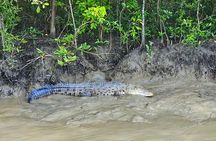 Sundarban and Bagerhat Tour in a Different Way - Community Based