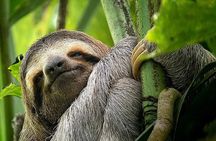Manuel Antonio National Park Tour for 8 People