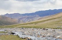 8 Days Mountaineering Experience in Ladakh India