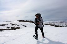 Ice Fishing Experience and Snowshoe Hike with Local