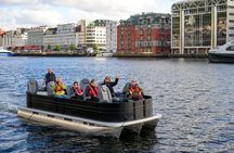 Mostraumen Lux Pontoon Cruise - Bergen Fjords
