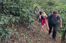 Full Day Filandia Trekking Park Barbas Bremen and Workshop Cesteria