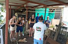 Full Day Filandia Trekking Park Barbas Bremen and Workshop Cesteria