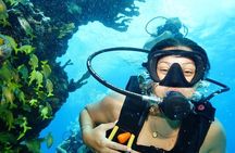 Two Dives and Class for Begginers Divers in Cancun
