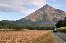 Explorer Tour by Cairns Waterfalls