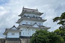 Odawara Castle Sightseeing Tour by Shinkansen
