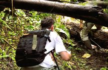 Bali’s Mystical Jungle Trek & Hidden Waterfall Adventure