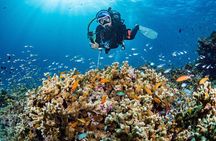 PADI Open Water course (5 Dives.3 Days)