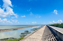 Half Day Bike Tour Around Chongming Changxing Island