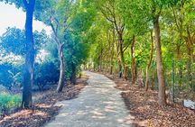 Half Day Bike Tour Around Chongming Changxing Island