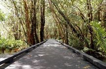 Guided Tour to Termas del Sol and Cochamo with Transportation Included