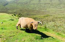 Isle of Skye Bespoke Luxury Tour from Inverness