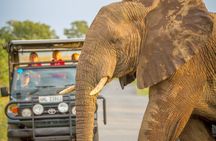 Hluhluwe-iMfolozi Park Exclusive Private Full Day Big 5 Safari 