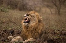 Hluhluwe-iMfolozi Park Exclusive Private Full Day Big 5 Safari 