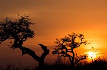 Hluhluwe-iMfolozi Park Exclusive Private Full Day Big 5 Safari 