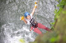 Rainforest Falls Waterfall Adventure by Pure Trek