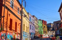 Valparaíso and Vina del Mar for Cruise Passengers in Private