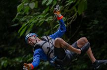 Rainforest Falls Waterfall Adventure by Pure Trek