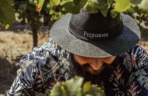 Pizzorno Winery with Lunch and Wine Tasting