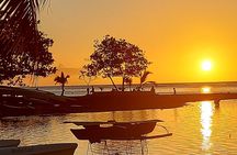  Private Tours of Tahiti by Lydia. Full or Half Day