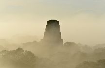 Private Full Day Tour in Tikal