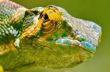 Manuel Antonio National Park Tour for 8 People