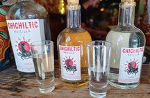 Agave drinks of Jalisco: Tasting of Pulque, Raicilla and Mezcal