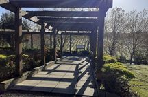 Kumeu Winery Boutique Tour with Gourmet Lunch from Auckland