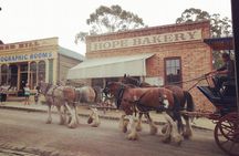 Ballarat Gold Fields - Sovereign Hill & Winery Tour