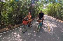 Underground Cenotes Snorkeling Tour with Mayan Snack