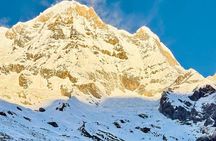 7 Days ABC Trek with Chitwan Safari Tour
