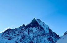 7 Days ABC Trek with Chitwan Safari Tour
