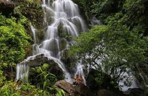 Botanic Garden, Paradise Cave and Phong Nha Cave Tour