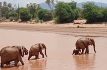 Samburu Sopa Lodge Private Tour