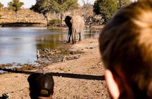 Sunrise Game Drive in Big5 Reserve