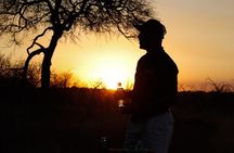 Sunrise Game Drive in Big5 Reserve