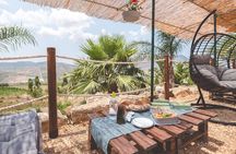 Picnic in an organic winery in Alcamo