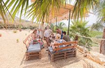 Picnic in an organic winery in Alcamo
