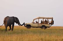 3 Days 2 Nights Masai Mara Wildlife Safari