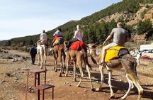 Marrakech Atlas Mountains Day Trip:Imlil Valley,Lunch with Locals