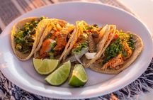 Cabo Cruise Sunset Adventure: Tacos, Margaritas & Sea Lions