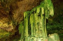 Full-day Tour Mnemba Jozani Forest Kuza Cave Paje Beach The Rock
