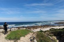 Guided Port Elizabeth Coastal Tour 