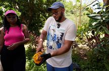 Soma Garden All Inclusive Tropical Fruit Farm Tour