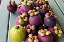 Soma Garden All Inclusive Tropical Fruit Farm Tour