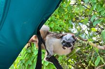 Panama Canal: Gatun Lake Wildlife Boat Tour