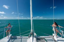 Champagne Dolphin Sail and Reef Snorkel