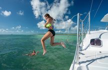 Champagne Dolphin Sail and Reef Snorkel